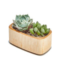 Wood Planter Maple