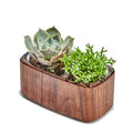 Wood Planter Walnut
